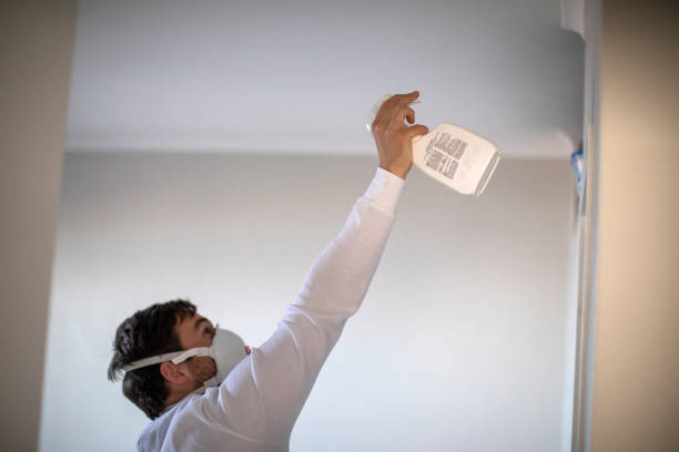 Best Residential Mold Removal  in Hebron, IL