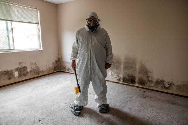 Best Mold Testing  in Hebron, IL